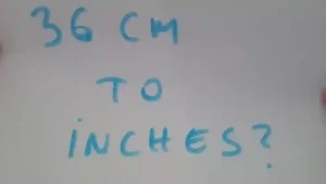 36cm