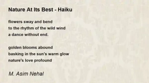 Haiku Examples